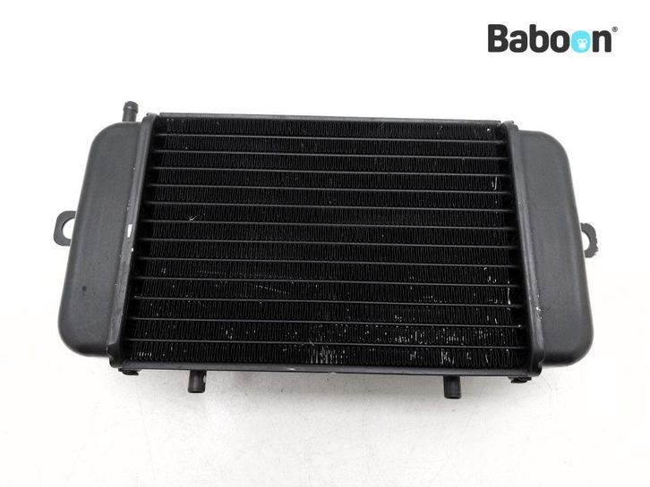 Radiateur BMW C1 200 (0192) (7652843), Motoren, Onderdelen | BMW, Gebruikt, Verzenden