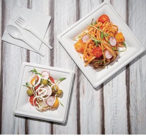 Bagasse Borden | Composteerbaar | Vierkant | 159mm (50 st..., Zakelijke goederen, Horeca | Keukenapparatuur, Verzenden