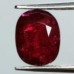 Rood Robijn - 1.48 ct - Instituto Gemólogico Español (IGE) -, Nieuw
