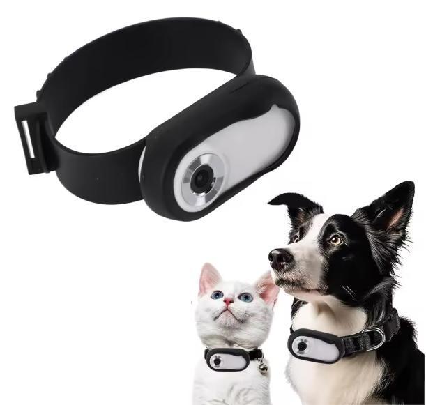 Huisdiercamera Halsband –HD 1080P Video en Foto met LCD Sche, Dieren en Toebehoren, Honden-accessoires, Nieuw, Verzenden