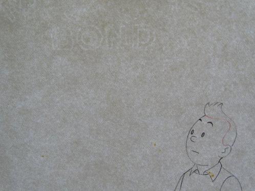 Hergé Original drawing - Tintin - Hergé- Tintin original, Cd's en Dvd's, Dvd's | Tekenfilms en Animatie