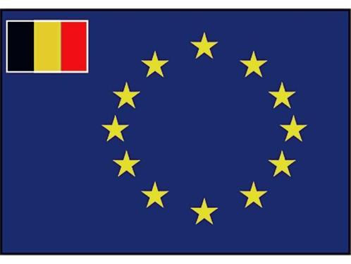 Raad van Europa vlag met inprint vlag van Belgie, Watersport en Boten, Bootonderdelen, Nieuw, Zeilboot of Motorboot, Ophalen of Verzenden