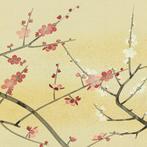 Red and White Plum Blossoms with Original Box (Tomobako) -