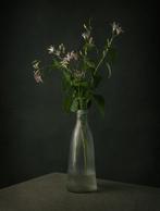 Tessa Posthuma de Boer - Orchid lily, Antiek en Kunst