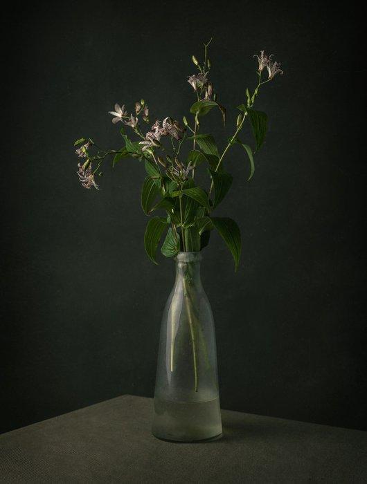 Tessa Posthuma de Boer - Orchid lily, Antiek en Kunst, Kunst | Designobjecten