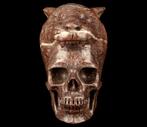 715 g 9,40 x 8,60 cm AA Jaspis Magische Tijdsk skull -
