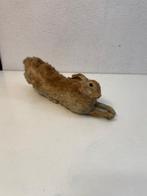 Konijn Taxidermie volledige montage - Coniglio - 15 cm - 49, Nieuw