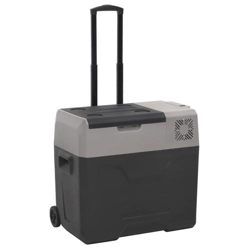vidaXL Koelbox met wielen en handvat 40 L polypropeen zwart, Witgoed en Apparatuur, Koelkasten en IJskasten, Nieuw, Verzenden