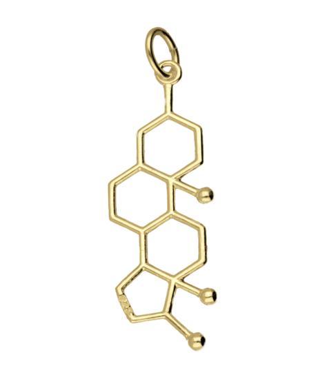 Gouden Testosteron scheikundige molecuul formule kettingh..., Sieraden, Tassen en Uiterlijk, Kettinghangers, Verzenden