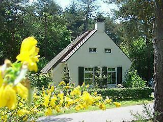 Vakantiehuis waldhuske 98 Drents-Friese-Wold Diever +WIFI, Vakantie, Vakantiehuizen | Nederland, Recreatiepark, Drenthe, In bos