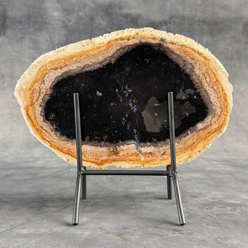 Prachtige snede van versteende palmwortel op een aangepaste, Antiek en Kunst, Kunst | Designobjecten
