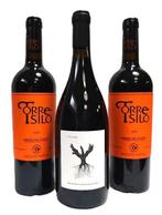 2023 Psi Dominio de Pingus & 2022 Cillar de silos, Torre, Nieuw