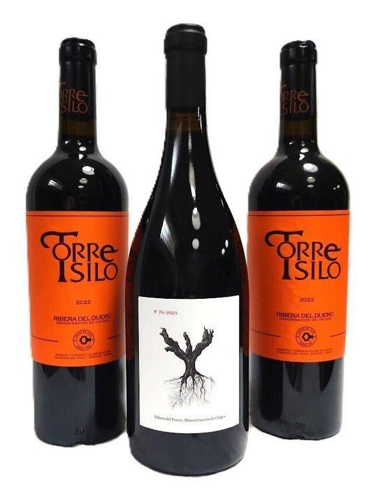 2023 Psi Dominio de Pingus & 2022 Cillar de silos, Torre, Verzamelen, Wijnen