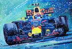 Red Bull Racing RB13 - EricJan Kremer - Max Verstappen -, Verzamelen, Nieuw