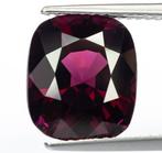 Zonder Minimumprijs Spinel  - 5.51 ct - Antwerp Laboratory, Nieuw