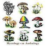 cd - The Allman Brothers Band - Mycology â¢ An Anthology, Verzenden, Zo goed als nieuw