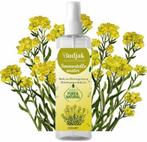 Biologische Immortelle - Helichrysum Italicum -, Nieuw