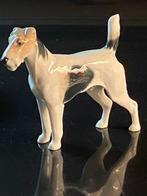 Rosenthal - F. Diller - Figuur - Foxterrier, Hund -