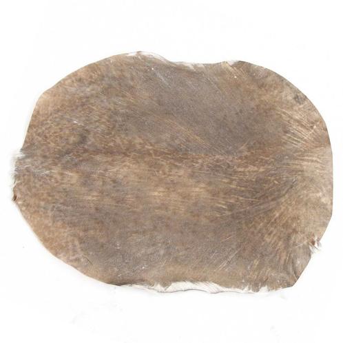 Geitenvel geschoren Ø 60 cm, Guinee, Muziek en Instrumenten, Drumstellen en Slagwerk, Nieuw, Verzenden