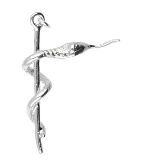 Zilveren Esculaap ketting hanger, Sieraden, Tassen en Uiterlijk, Kettinghangers, Verzenden