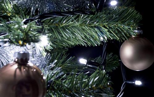 Kerstverlichting: 10 meter - 100 lampen - koud wit incl. aan, Tuin en Terras, Buitenverlichting, Nieuw, Verzenden