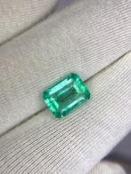 1 pcs Groen Smaragd - 2.36 ct - International Gemological, Nieuw