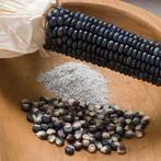 Zea Earth Tones Dent corn Siermais, Ophalen of Verzenden, Nieuw