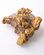 Goud Nugget met kwarts - Guyana - Hoogte: 12 mm - Breedte: