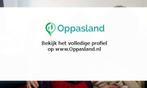 Stefan zoekt een oppas in Heerenveen voor 2 kinderen.