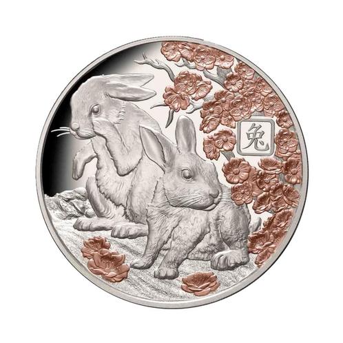 Zilveren munt Solomon Island Lunar 2023 1 troy ounce, Postzegels en Munten, Edelmetalen en Baren, Verzenden
