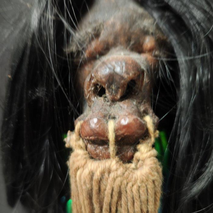 crane, tête replica Jivaro, Tsantza, Ashuar Schedel -, Antiek en Kunst, Curiosa en Brocante