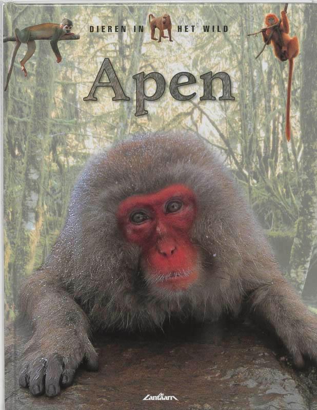 Apen / Dieren in het wild 9789054262114 T. Jackson, Boeken, Overige Boeken, Zo goed als nieuw, Verzenden