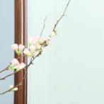 Enorme grote Soester schouwspiegel facet geslepen in mahonie, Ophalen of Verzenden