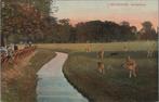 S GRAVENHAGE - Hertenkamp, Verzenden, Gelopen