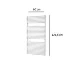 Designradiator Plieger Florian 750 Watt Vier Aansluitpunten, Doe-het-zelf en Verbouw, Verwarming en Radiatoren, Ophalen of Verzenden