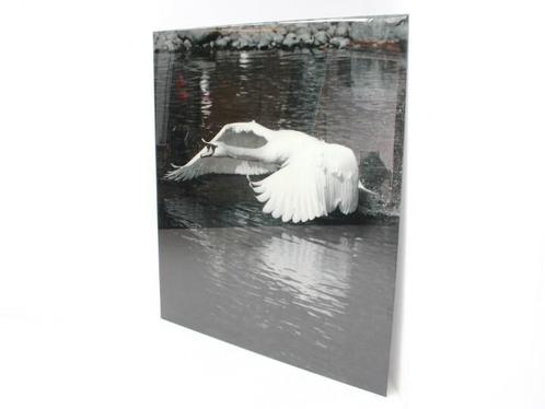 Wanddecoratie aluminium dibond plexiglas - 203x181cm (hxb), Zakelijke goederen, Kantoor en Winkelinrichting | Kantoormeubilair en Inrichting