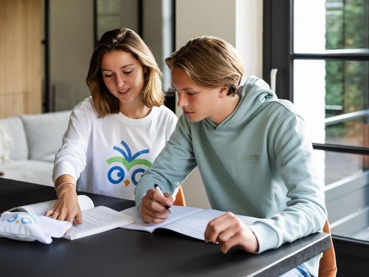 Bijles Nederlands - Privé Nederlands-docent uit je buurt, Diensten en Vakmensen, Bijles, Privé-les en Taalles, Bijles, Examen- of Scriptiebegeleiding