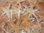 Zeesterren 5-7 cm. 100 stuks, Hobby en Vrije tijd, Knutselen, Ophalen of Verzenden, Nieuw
