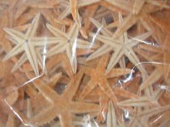 Zeesterren 5-7 cm. 100 stuks, Hobby en Vrije tijd, Knutselen, Nieuw, Ophalen of Verzenden