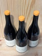 2023 Domaine de Chassorney - Sous la Velle - Saint-Romain, Nieuw