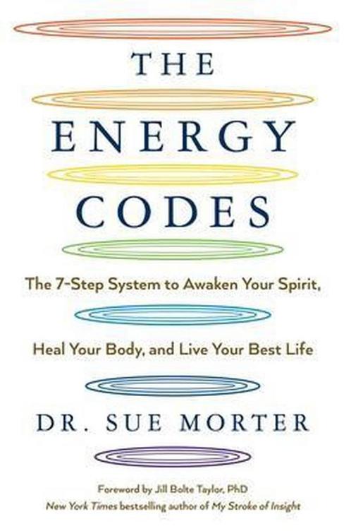 The Energy Codes 9781501169304 Sue Morter, Boeken, Overige Boeken, Gelezen, Verzenden