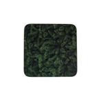 onderzetter dennentakken 10x10cm (6)*, Verzenden, Nieuw
