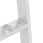 vidaXL Dock Ladder 5-Treden Zilver 58 x 77 x 191 cm, Watersport en Boten, Verzenden, Nieuw