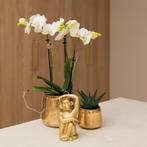 Kolibri Home | Luxury bloempot - Gouden keramieken sierpot -, Verzenden