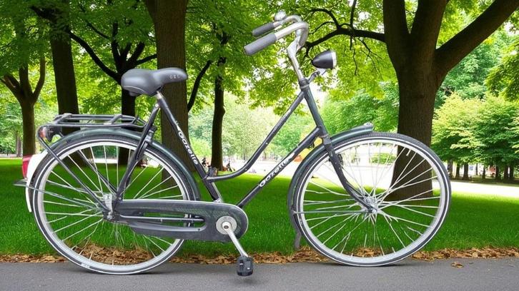 Gazelle Impala KT Remnaaf Groen Dames, Fietsen en Brommers, Fietsen | Dames | Damesfietsen, Gebruikt, Overige merken, Ophalen