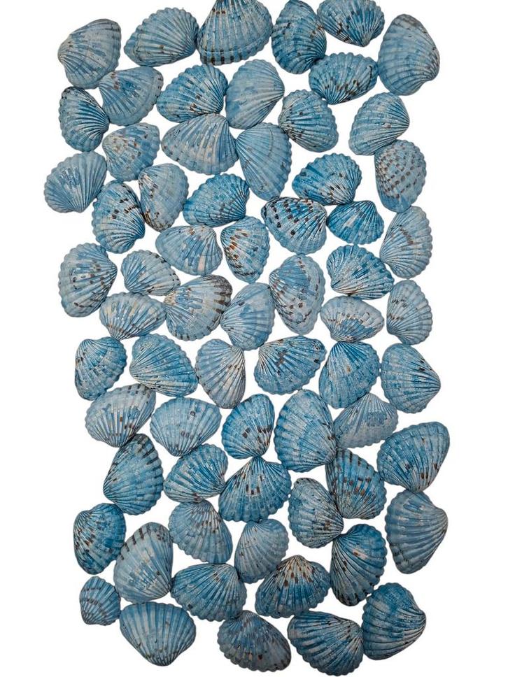Tiger Chippy Schelpen Blauw 500 gram, Hobby en Vrije tijd, Knutselen, Nieuw, Ophalen of Verzenden