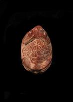 Oude Egypte, late periode Bruine Steen Kikkerscarabeide