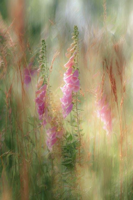 Miss Evoke - Behind glass - XXL, Antiek en Kunst, Kunst | Designobjecten