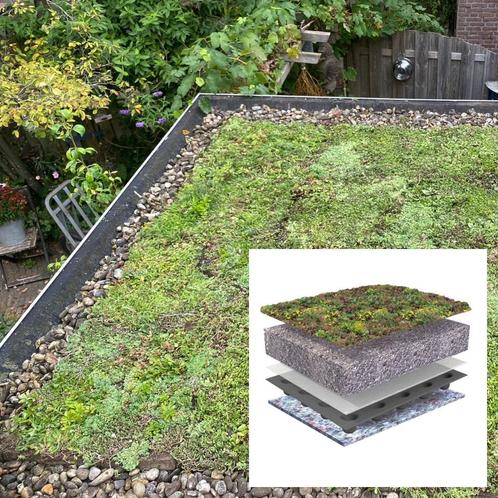 Sedumdak Bio, laten aanleggen €68,73 per m2 (incl.BTW), Tuin en Terras, Planten | Tuinplanten, Bodembedekkers, Vaste plant, Volle zon