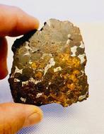 Sericho meteoriet Pallasiet - Hoogte: 77 mm - Breedte: 66 mm